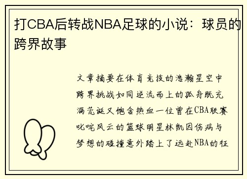 打CBA后转战NBA足球的小说：球员的跨界故事