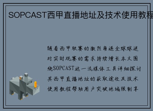 SOPCAST西甲直播地址及技术使用教程